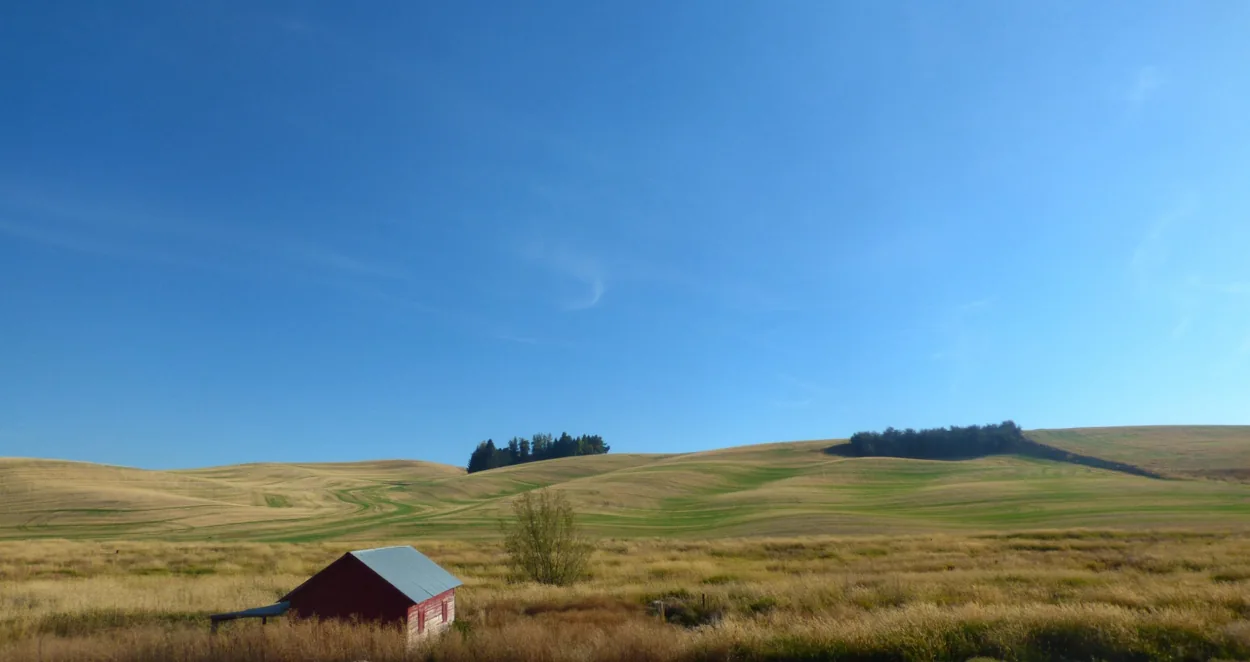 Real photograph of a red barn and the rolling Palouse fields